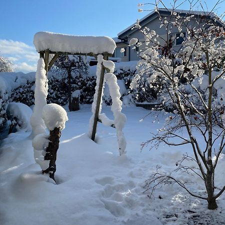"Ferienhaus Am Mondsee" Mit Direktem Schafbergblick Im Salzkammergut Bei Salzburg Exterior foto