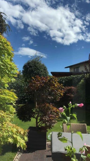 "Ferienhaus Am Mondsee" Mit Direktem Schafbergblick Im Salzkammergut Bei Salzburg Exterior foto